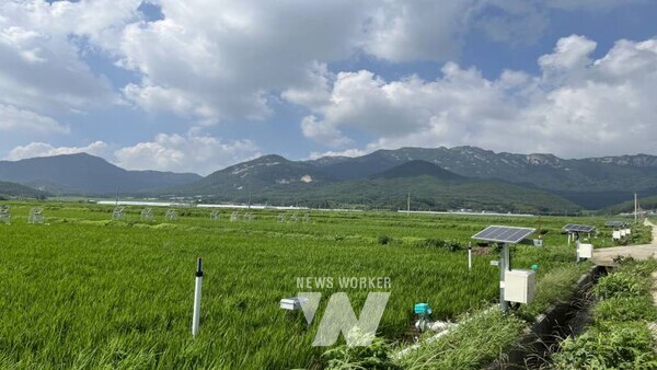 전남 해남군이 농림축산식품부의 ‘저탄소 농축산물 인증제’에서 괄목할 성과를 거두며 지속가능한 저탄소 농업 기반을 굳건히 다지고 있다. (해남군 계곡면)