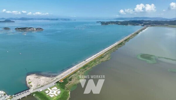 진도군 나리방조제(3.2km) 일원에 조성한 꽃길에 가을꽃들이 만개해 주민과 관광객들의 큰 호응을 얻고 있다