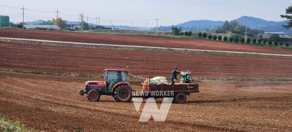 전라남도종자관리소는 2025년산 보리·밀 원종에 대한 종자산업법상 포장검사와 종자검사에서 모두 합격 판정을 받았다.