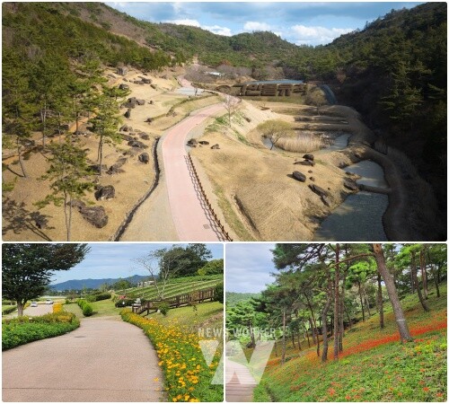 화순고인돌유적지 전경,고인돌유적지 내 황화 코스모스,꽃무릇