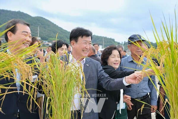 여수시(시장 정기명)는 벼 수확을 앞두고 지난 24일 소라면 대곡마을에서 ‘2025년 벼농사 종합평가회’를 열었다.