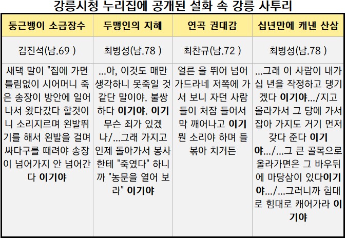 강릉시청 누리집/정리_뉴스워커