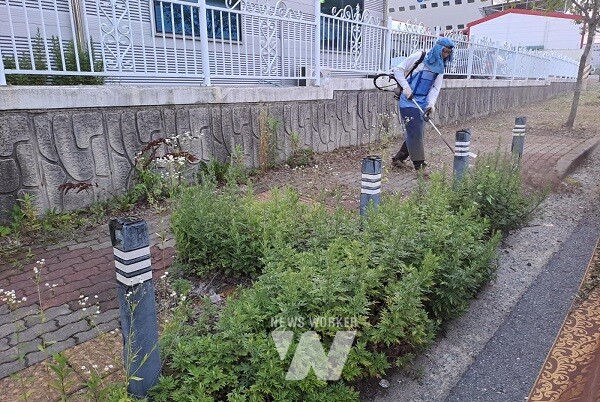 광산구가 추석을 맞아 주요 도로 예초 작업을 진행하고 있다