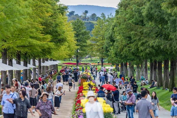 순천만국가정원 낙우송길 관람객들