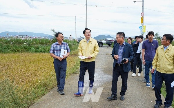 윤병태 시장(왼쪽 두 번째)이 15일 반남면 덕산리 일대 피해 논을 방문해 현황을 점검했다.(사진 제공-나주시)