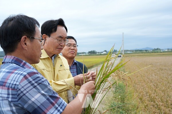 윤병태 시장(가운데)이 직접 벼 깨씨무늬병 상태를 살피고 있다.(사진 제공-나주시)