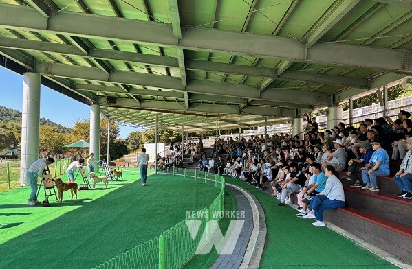 진도군은 지난 추석 황금연휴를 맞아 약 1만 명이 진도개테마파크를 방문해 진도개 공연, 달리기, 장애물 달리기(어질리티) 등 도그(Dog) 스포츠를 관람하고, 진도개 강아지 체험장과 미니 동물농장(학습체험장)을 다녀갔다