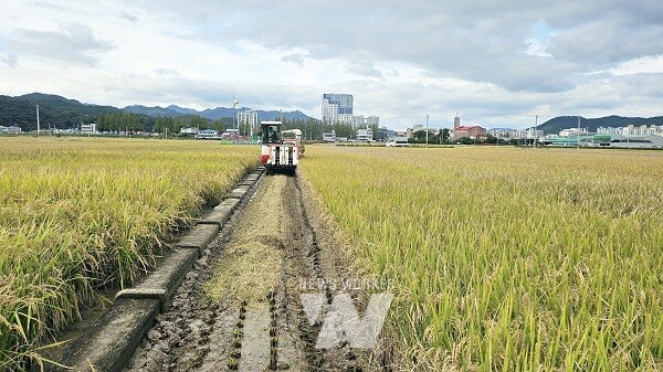 병해충 예방 땅심높이기