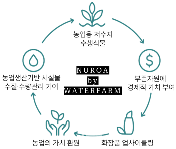 공사 사내벤처팀 ‘워터팜’은 저수지 수생식물 ‘마름’을 활용한 친환경 브랜드 ‘누로아(NUROA)’를 선보였다. (좌) 누로아 앰플, (중) 사업 효과 도식화 (우) 마름 열매 물밤