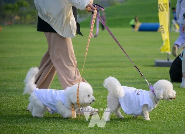 전남 순천시(시장 노관규)는 오는 25일 오후 1시 오천그린광장 일원에서 반려견과 반려인이 함께 달리는 힐링 러닝축제 ‘2025 댕댕순천’을 개최한다. 