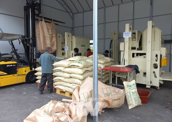 전남 해남군은 콩 수확시기 농가 일손을 덜어주기 위해 콩 선별 농가셀프 작업장을 운영해 농업인들의 큰 호응을 얻고 있다.