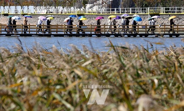지난해 강진만 생태공원에서 열린 강진만 춤추는 갈대축제 모습