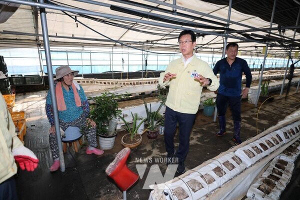 박병규 광산구청장(중앙)이 지난 7월 25일 평동의 한 침수 피해 비닐하우스 농가를 찾아 수습 상황을 점검했다.