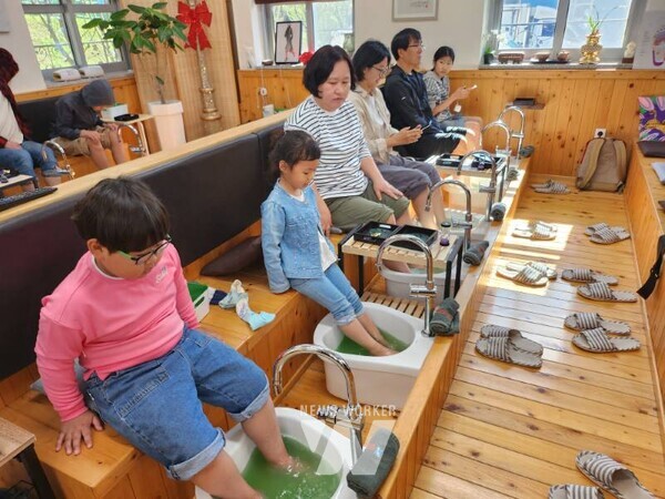 캠프에 참여한 학생과 가족들이 24일 보성에서 녹차 족욕을 즐기고 있다.