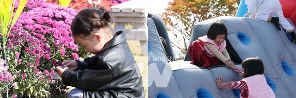 지난 25일 강진만 생태공원에서 개막한 제10회 강진만 춤추는 갈대축제가 초반 이틀간 전국 관광객 5만여명이 몰리며 대한민국 가을축제의 명성을 이어갔다.