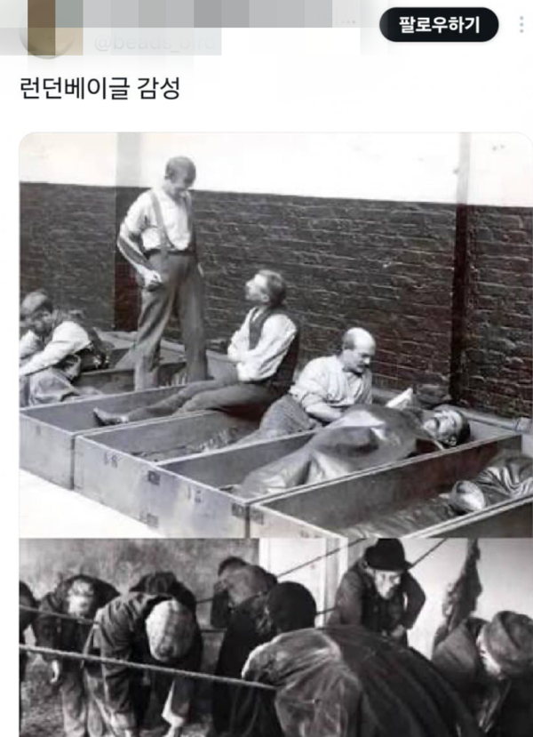 런던베이글뮤지엄 반응 [사진=X]