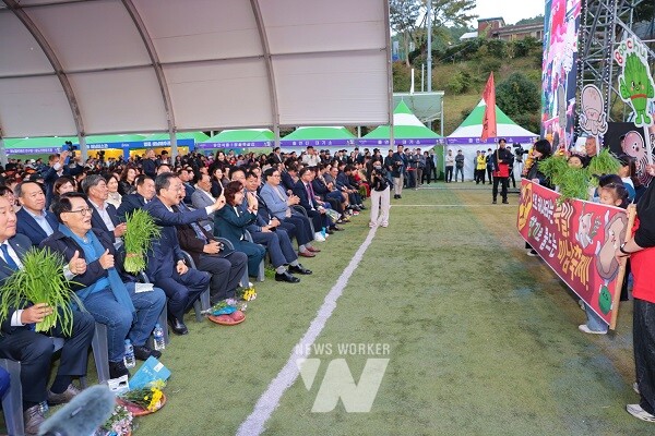 해남미남축제 읍면 퍼레이드 환영