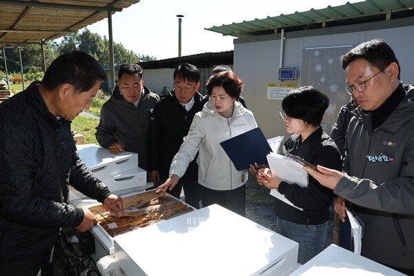 10월 31일 꿀벌 농가에 방문하여 월동관리에 적합한 스마트 벌통을 확인하고 있다.(사진=보성군의회 제공)