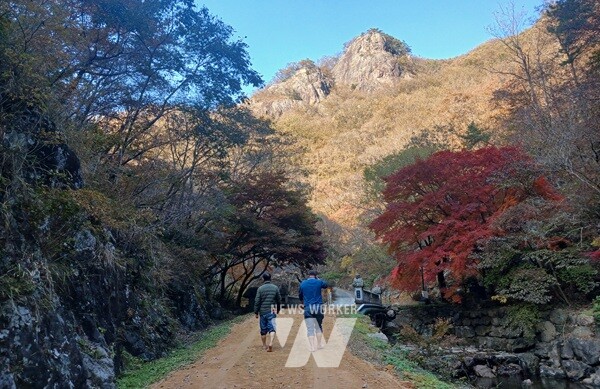 담양 가마골생태공원, 단풍길 따라 걷기 좋은 흙길 산책로 조성