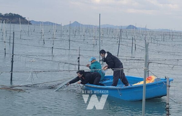 전라남도해양수산과학원이 기후변화에 따른 어업 현장 문제 개선을 위해 현장 맞춤형 연구를 추진, 올해 참김 신품종 현장 시험, 뱀장어 종자 생산 등 결실을 보고 있다.