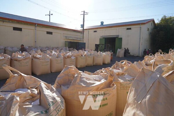 나주시가 지난 12일 건조벼 매입을 시작으로 올해 연말까지 9천448톤 규모의 공공비축미곡을 매입한다. (사진 제공-나주시)