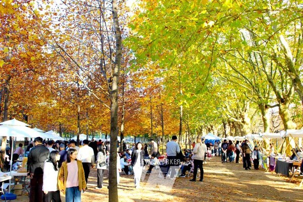 담양군, ‘소소한 공생 어울림장터’... 올해 4차례 운영 성료