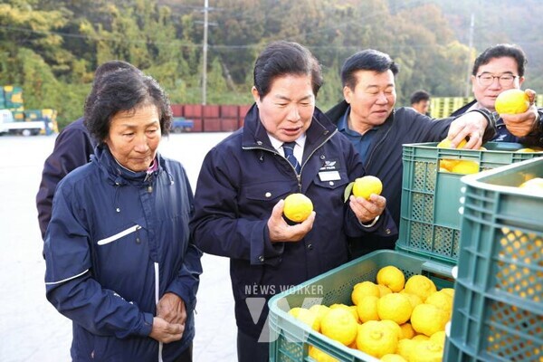 전남 고흥군(군수 공영민)은 20일 두원농협 유자 수매장을 방문해 현장을 점검하고, 유자축제와 함께 본격 수확기에 접어든 고흥유자의 생산·유통 상황을 살폈다.