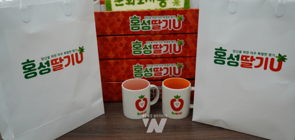 홍성군, '홍성딸기U'... 새 옷 입고 경쟁력 높인다 - 뉴스 썸네일 이미지