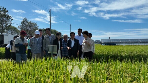 논산시, 13종 벼 품종 비교와 기후적응 기술 다룬 농사 평가회 개최