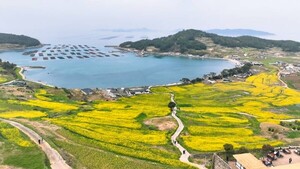 완도군, '섬섬 걸을래' 잡았다... <b>청산도</b>·보길도 체류형 걷기 관광지 선...